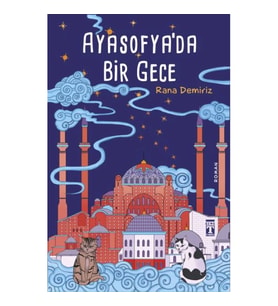 Ayasofya'da Bir Gece