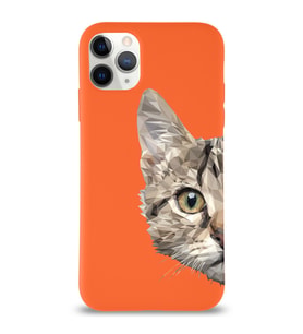 Apple iPhone 11 Pro Uyumlu Lansman Kılıf Catface Tasarımlı Altı Kapalı İçi Kadife Kaplı  Kapak (Şeffaf)