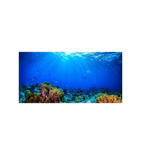 Kanki Pet KP10552032 Akvaryum Arka Fon Yapıştırma 105 x 52 CM