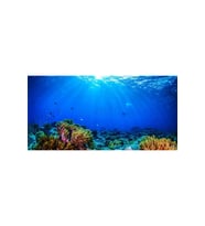 Kanki Pet KP10552032 Akvaryum Arka Fon Yapıştırma 105 x 52 CM