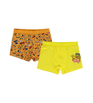 Civil Boys Funny 2-10 Yaş Erkek Çocuk 2'li Boxer - Standart