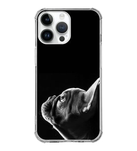 PrintiFy Apple iPhone 14 Pro Max Uyumlu Köpek 1 Baskılı Şeffaf Köşe Korumalı Antişok Kılıf