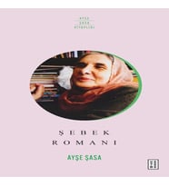Şebek Romanı