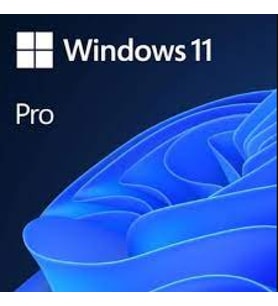 MICROSOFT WINDOWS 11 PRO - ESD FQC-10572