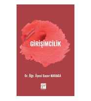 Girişimcilik