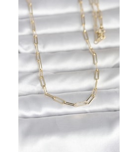 Tegan CM 14K Gold Renk Ataç Zincirli Model 60 cm Kadın Kolye TG27BKO10985 (Çok Renkli)
