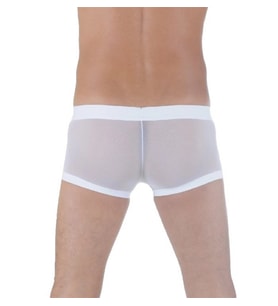Transparan Boxer