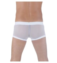 Transparan Boxer