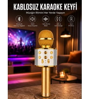 Taşınabilir Karaoke Mikrofon: Hafıza Kart Girişli, Etkileyici