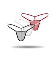 3'lü Renkli Transparan Tül String Tanga DL0369