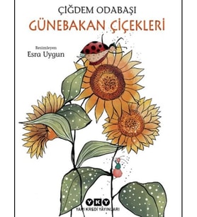 Günebakan Çiçekleri