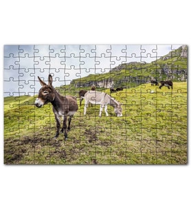 Cakapuzzle Yeşil Tepelerde Otlayan Eşekler Puzzle Yapboz MDF (Ahşap) (120 Parça)