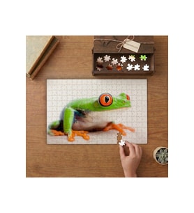 Kırmızı Gözlü Yeşil Ördek Tasarımı 240 parça Ahşap Puzzle Ahşap Kutuda MP02583