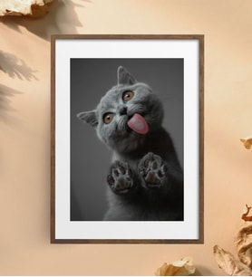 Kedi Cat Metal Poster Metal Tablo Metal Üzerine Baskılı Metal Poster Ev Duvar Dekorasyon