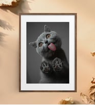 Kedi Cat Metal Poster Metal Tablo Metal Üzerine Baskılı Metal Poster Ev Duvar Dekorasyon