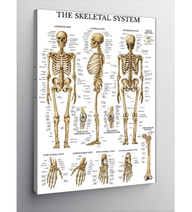 Kanvas Tablo İskelet Sistemi