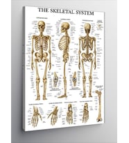 Kanvas Tablo İskelet Sistemi
