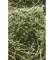 Yonca Kuru Kemirgen Otu 2 kg Bol Çiçekli.
