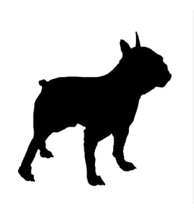 KÖPEK FOLYO STİCKER DERSTV878 60cm Uzunluk (Karışık)