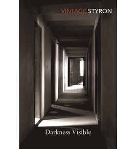Darkness Visible (Kapak Değişebilir)
