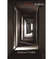 Darkness Visible (Kapak Değişebilir)