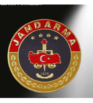 Jandarma Asayiş Yuvarlak Kol Arması 3d,  Yeni Model Tip Cırtlı, Standart Ölçü, (Çok Renkli)