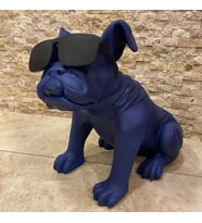 GÖZLÜKLÜ BULLDOG