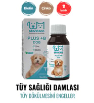 Köpekler Için Tüy Sağlığı Damlası - Plus B - Köpek Tüy Dökülmesini Engelleyici Biotin Damla