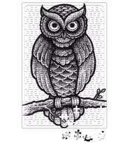 Baykuş Drawing Çizim Hayvan Animal Owl Simple Pet Puzzle