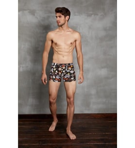 Erkek Modal Kıbrıs Desen Baskılı Uzun Paça Boxer 1817
