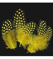 50 ADET PUANTİYELİ SARI SİYAH KUŞ TÜYÜ SARI KUŞ TÜYÜ YELLOW BIRD FEATHER SARI ŞEFFAF BALON TÜYÜ