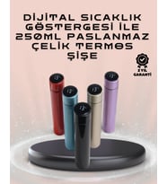 250ml LED Ekranlı Paslanmaz Çelik Akıllı Termos