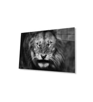 Aslan Cam Tablo 4mm Dayanıklı Temperli Cam (Çok Renkli)