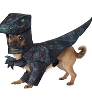 Köpek Pupasaurus Rex Kostüm - X-Small - Gri