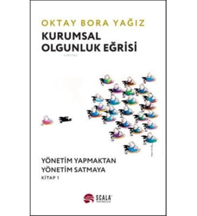 Kurumsal Olgunluk Eğrisi