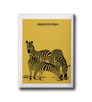 Zebra Canvas Tablo MİND304