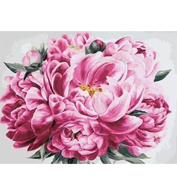 Pembe Şakayık Sayılarla Boyama Seti(40x50 cm Tuval Şasesine Gerili)