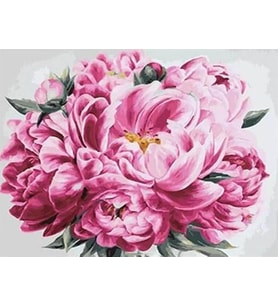 Pembe Şakayık Sayılarla Boyama Seti(40x50 cm Tuval Şasesine Gerili)