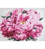 Pembe Şakayık Sayılarla Boyama Seti(40x50 cm Tuval Şasesine Gerili)