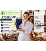 Tüm Kanatlılar, Güvercin ve Kafes Kuşları İçin Avian No'Stress Powder 1 Kg. Adabtasyon ve Stres Ürün