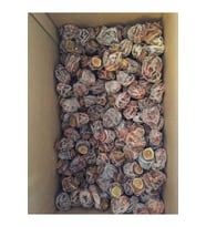 Organik Trabzon (Cennet) Hurması 1000 Gr