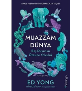 Muazzam Dünya: Beş Duyunun Ötesine Yolculuk