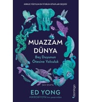 Muazzam Dünya: Beş Duyunun Ötesine Yolculuk