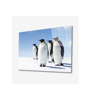 Miyrem Glasses Collection -A1^#  Penguen Hayvan Cam Tablo (Çok Renkli)