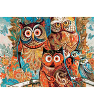 Baykuş Sayılarla Boyama Seti  40x 50 cm (Tuvale Gerili)