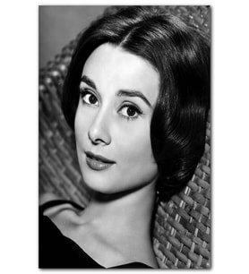 Cakatablo Audrey Hepburn Siyah Beyaz Portre MDF Tablo