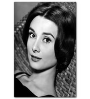 Cakatablo Audrey Hepburn Siyah Beyaz Portre MDF Tablo