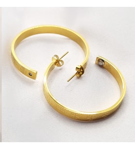ALC Collection Orijinal Çelik Şık Tasarım Desenli Gold Renk Küpe