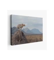 Leopar Dekoratif Kanvas Tablo -1127
