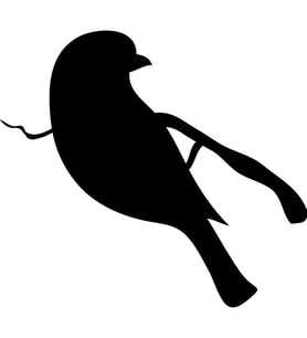 KUŞ FOLYO STİCKER 160cm Uzunluk (Karışık)
